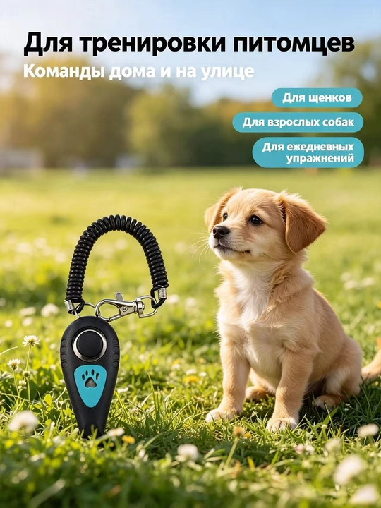 2 tasi 1 da ikki rangli mexanik it klikeri, it o‘rgatish aksessuarlari