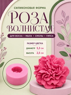 Fuksiya
