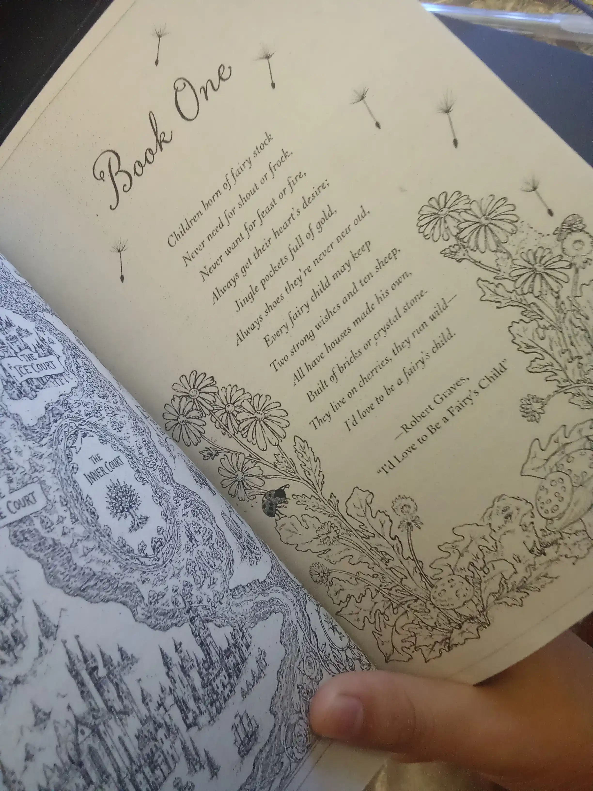 The Cruel Prince HOLLY BLACK ingliz tilida