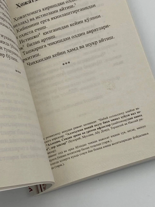 Imom Abu Homid G'azzoliy: Dindagi odoblar