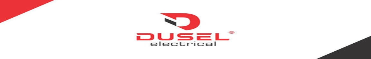 DUSEL GROUP
