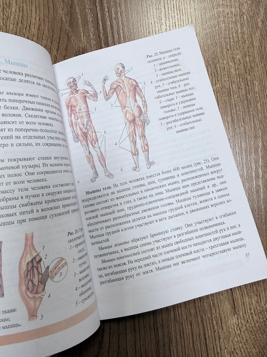Биология 8 класс «Человек и его здоровье» — учебник, О. Мавлянов, Т. Ю. Тилавов, 192 стр
