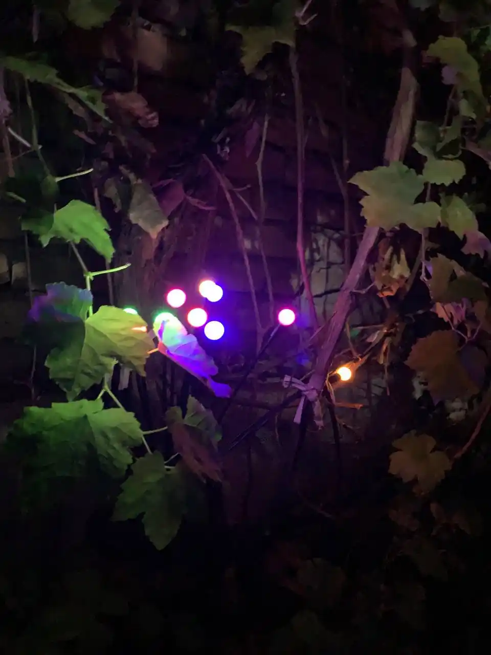 Quyosh batareyali bog‘ chirog‘i, 10 LED sharcha, egiluvchan novdali, 1 dona
