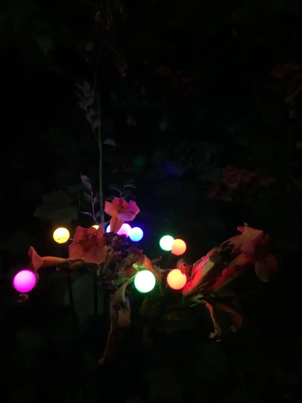 Quyosh batareyali bog‘ chirog‘i, 10 LED sharcha, egiluvchan novdali, 1 dona