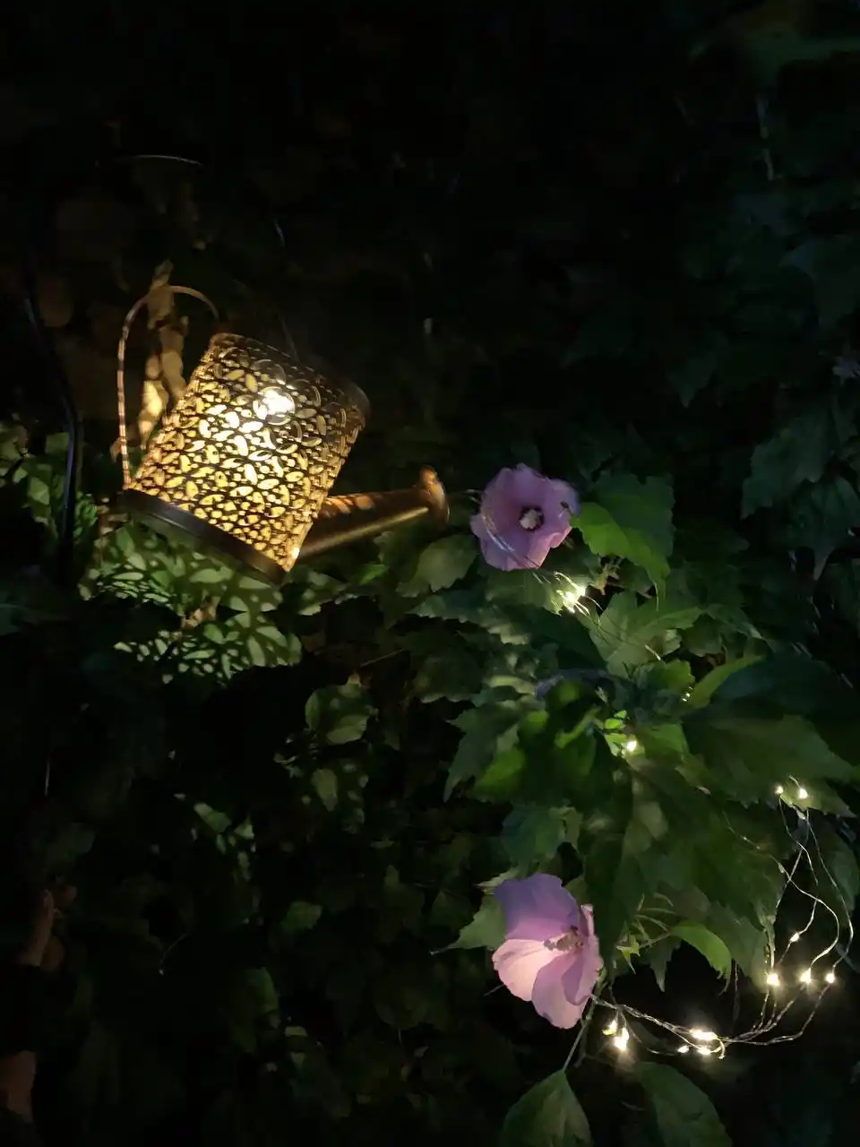 Quyosh batareyali dekorativ bog‘ chirog‘i-leyka, 36 LED, iliq yorug‘lik, 80 sm