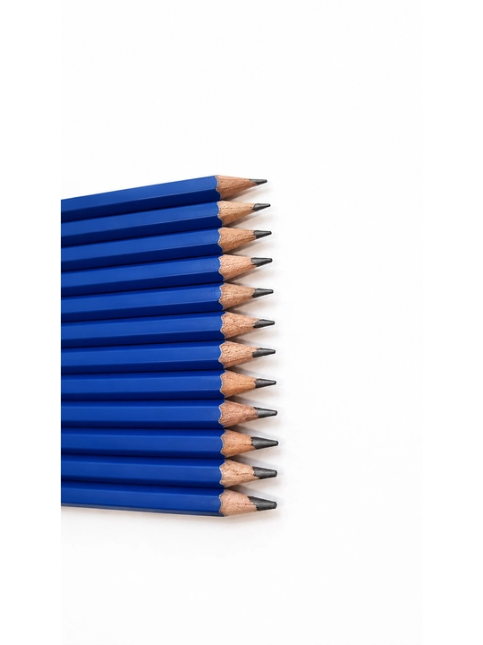 Yalong Professional Drawing Pencil 12 dona, 2H–8B grafit chizmachilik qalamlari