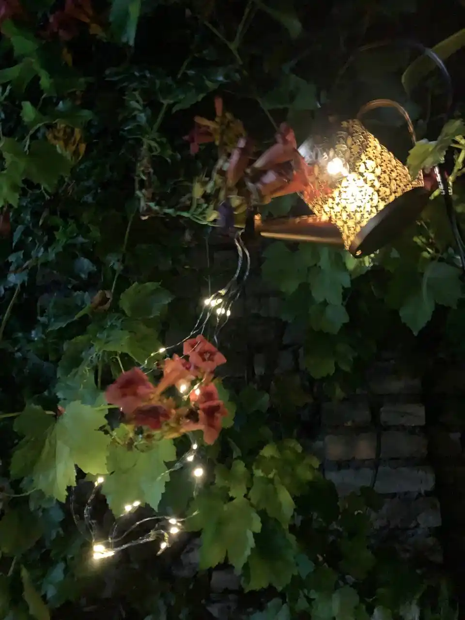 Quyosh batareyali dekorativ bog‘ chirog‘i-leyka, 36 LED, iliq yorug‘lik, 80 sm