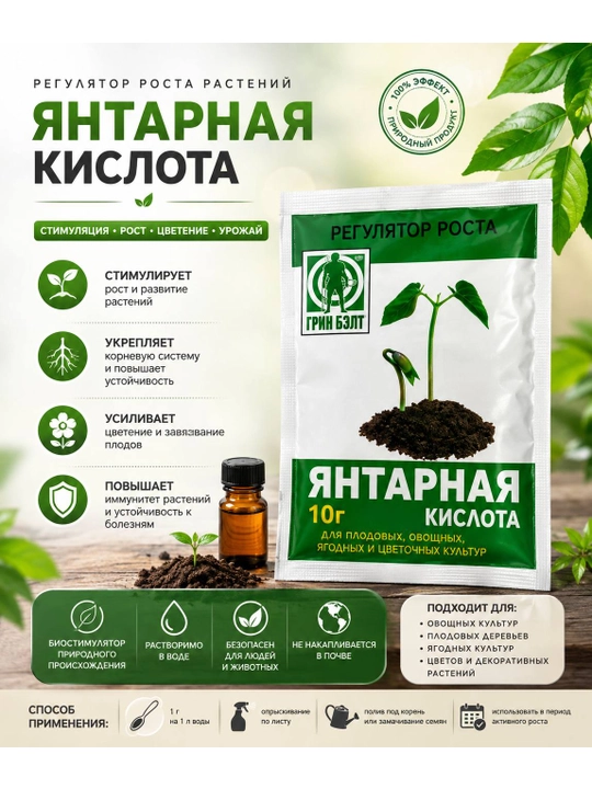 Янтарная кислота - 