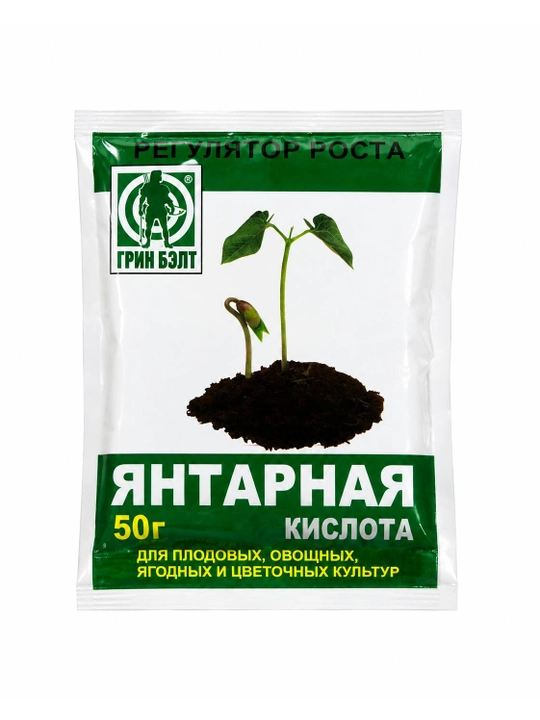 Yantar kislotasi