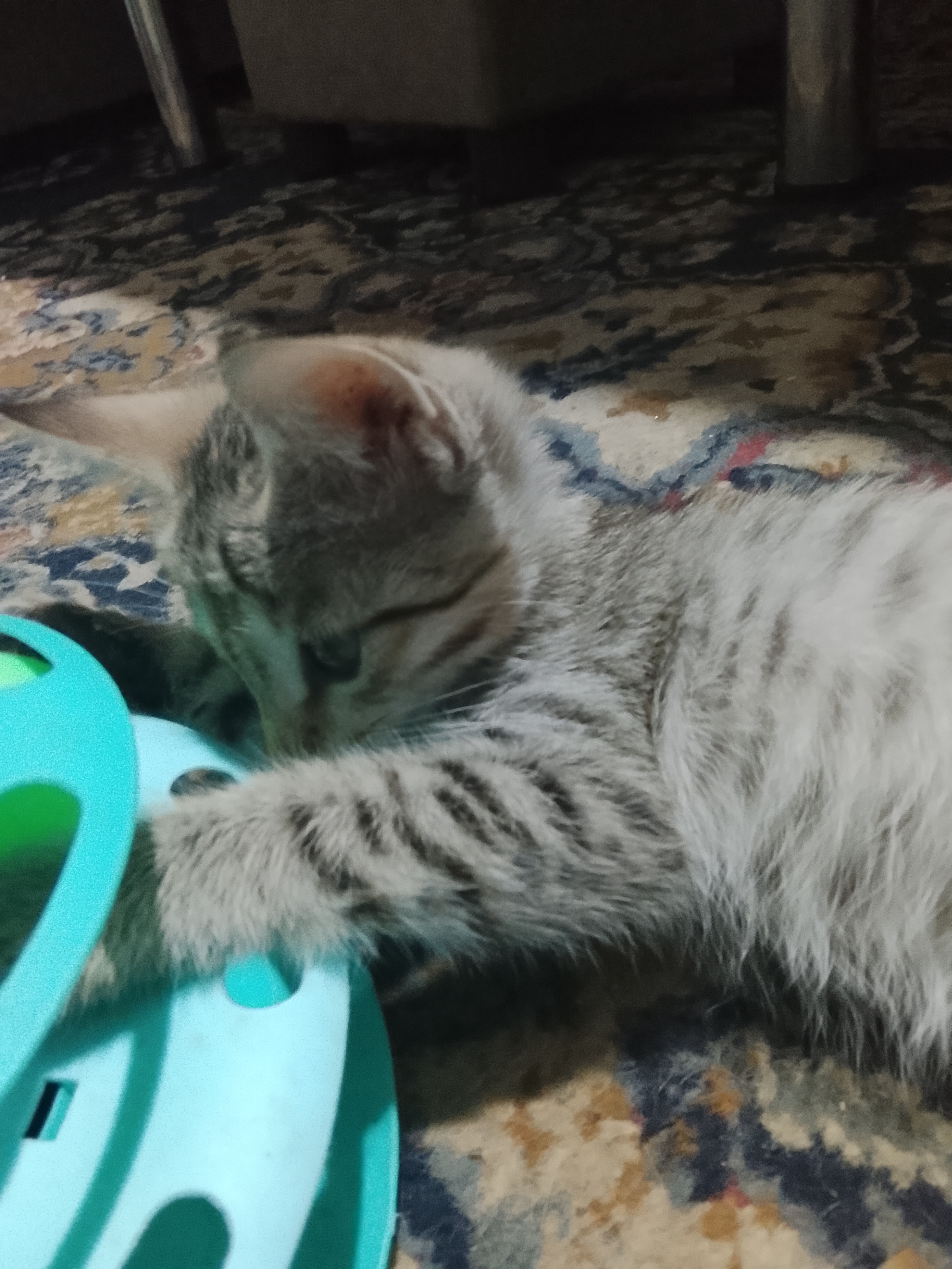 Игрушка для кота