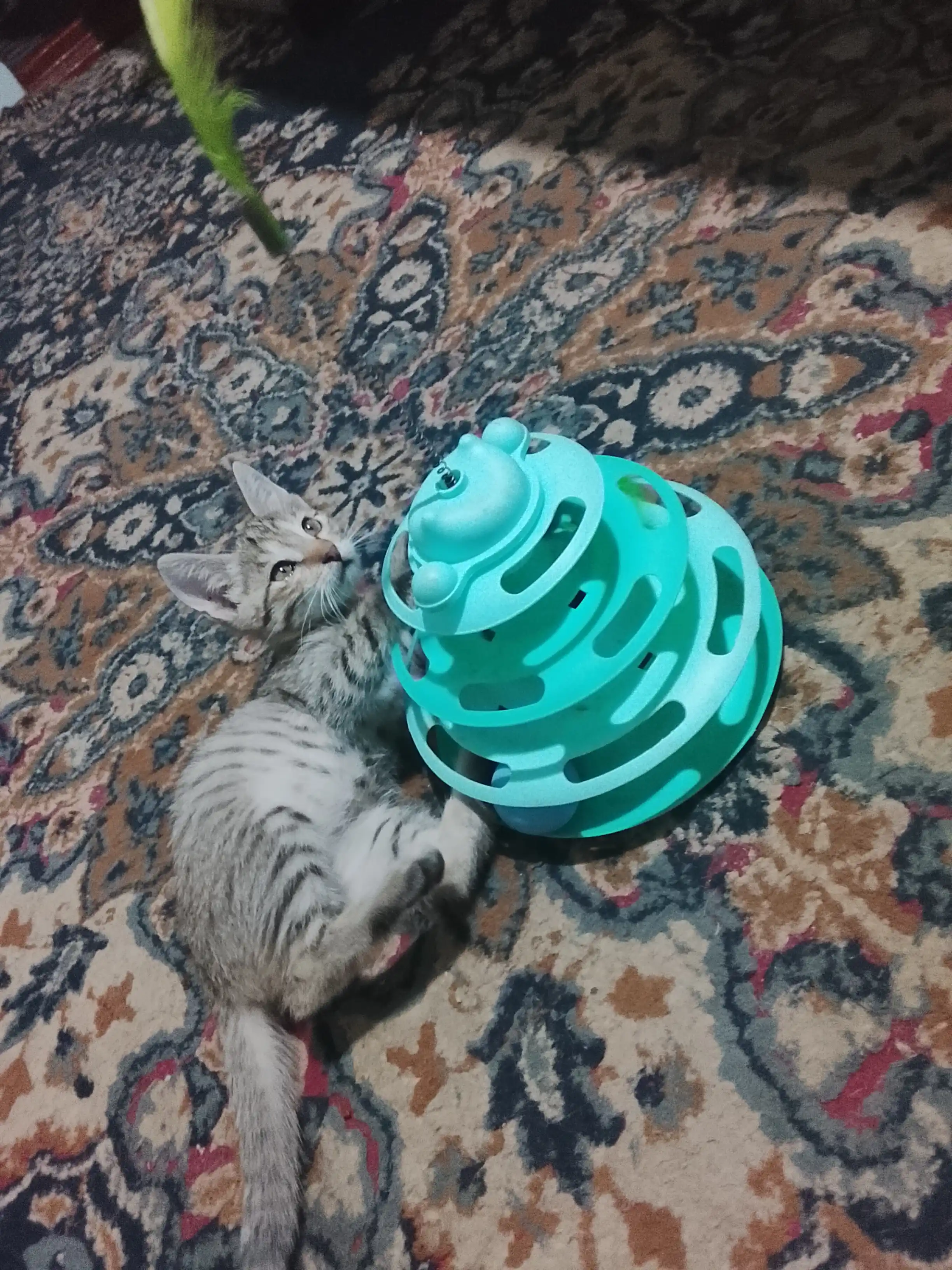 Игрушка для кота