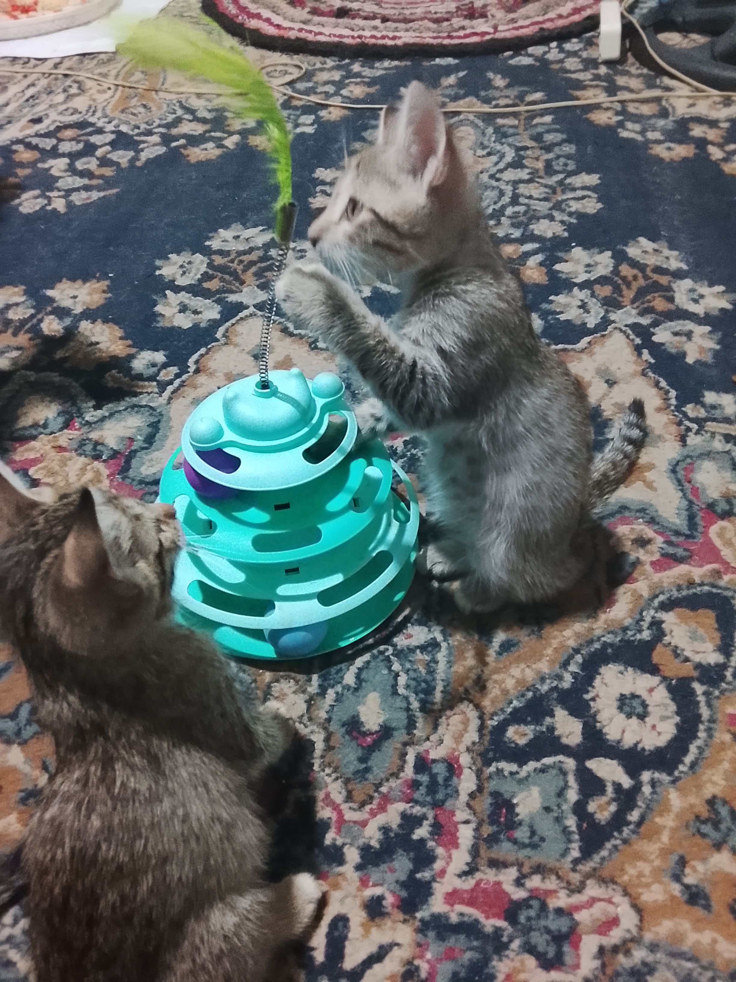 Игрушка для кота