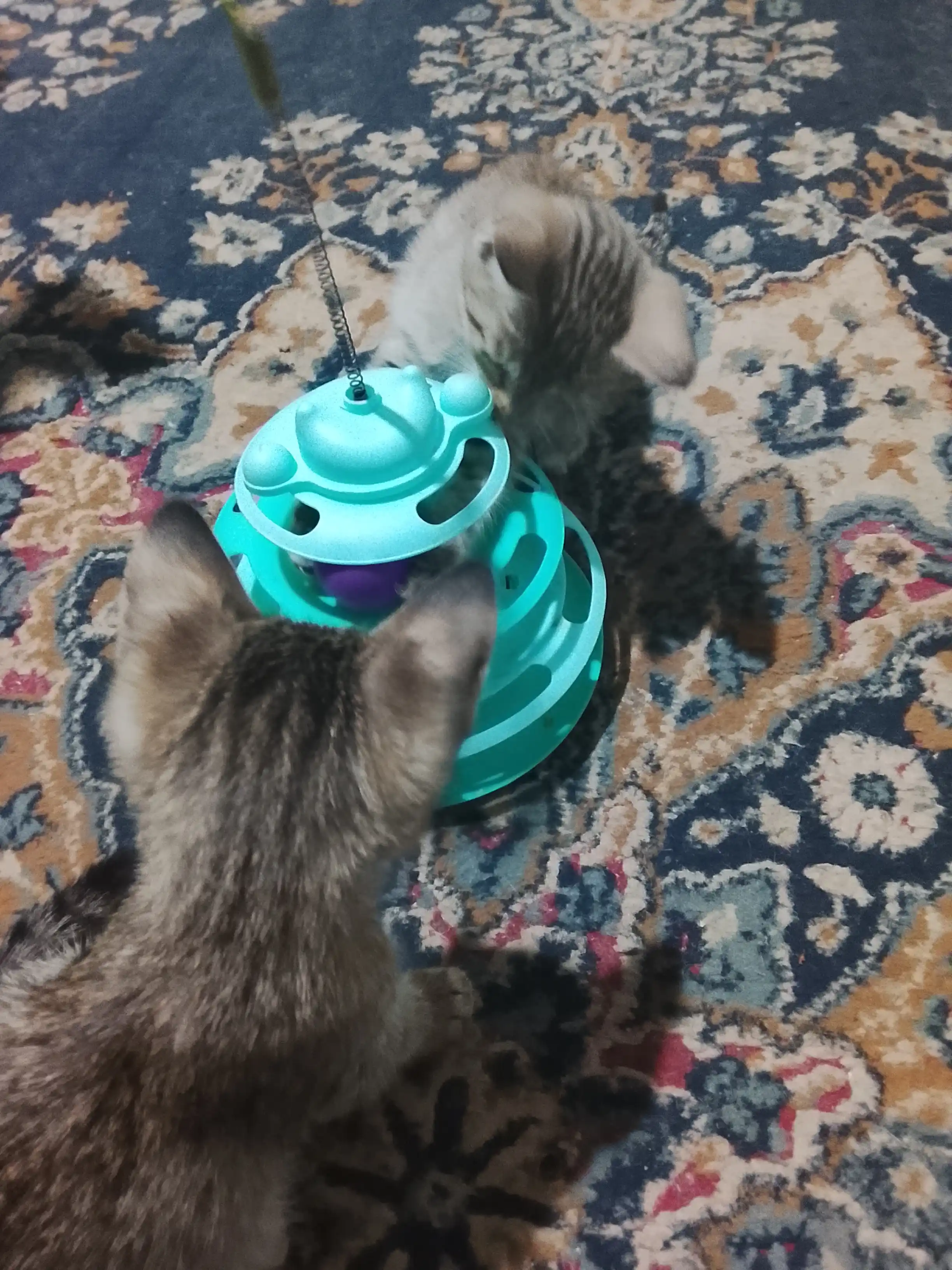 Игрушка для кота