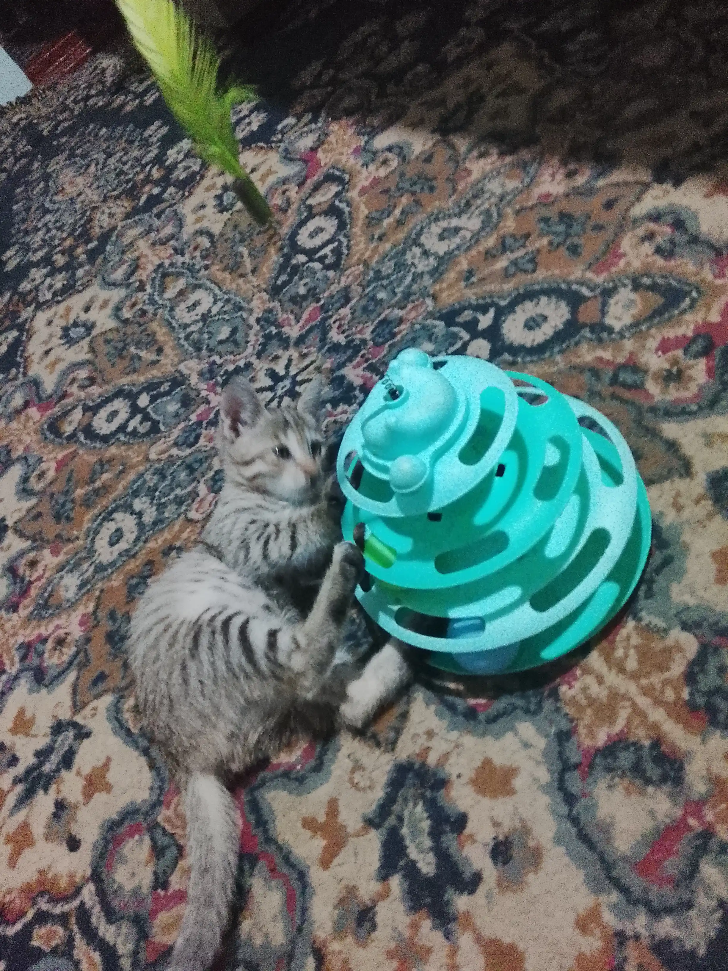 Игрушка для кота
