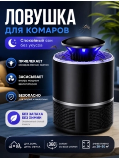 Qora