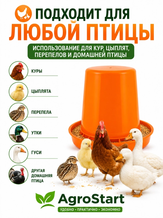 Бункерная кормушка для цыплят, кур, перепелов и домашней птицы, оранжевая