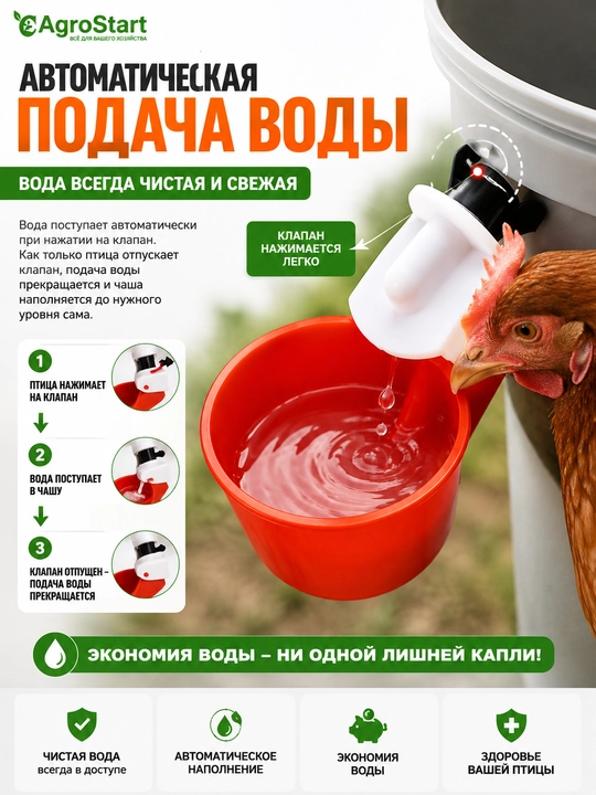Tovuq, bedana, o'rdak, kurka va uy parrandalari uchun avtomatik kosacha sug'orgich