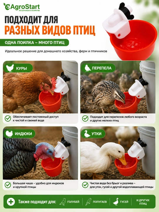 Tovuq, bedana, o'rdak, kurka va uy parrandalari uchun avtomatik kosacha sug'orgich