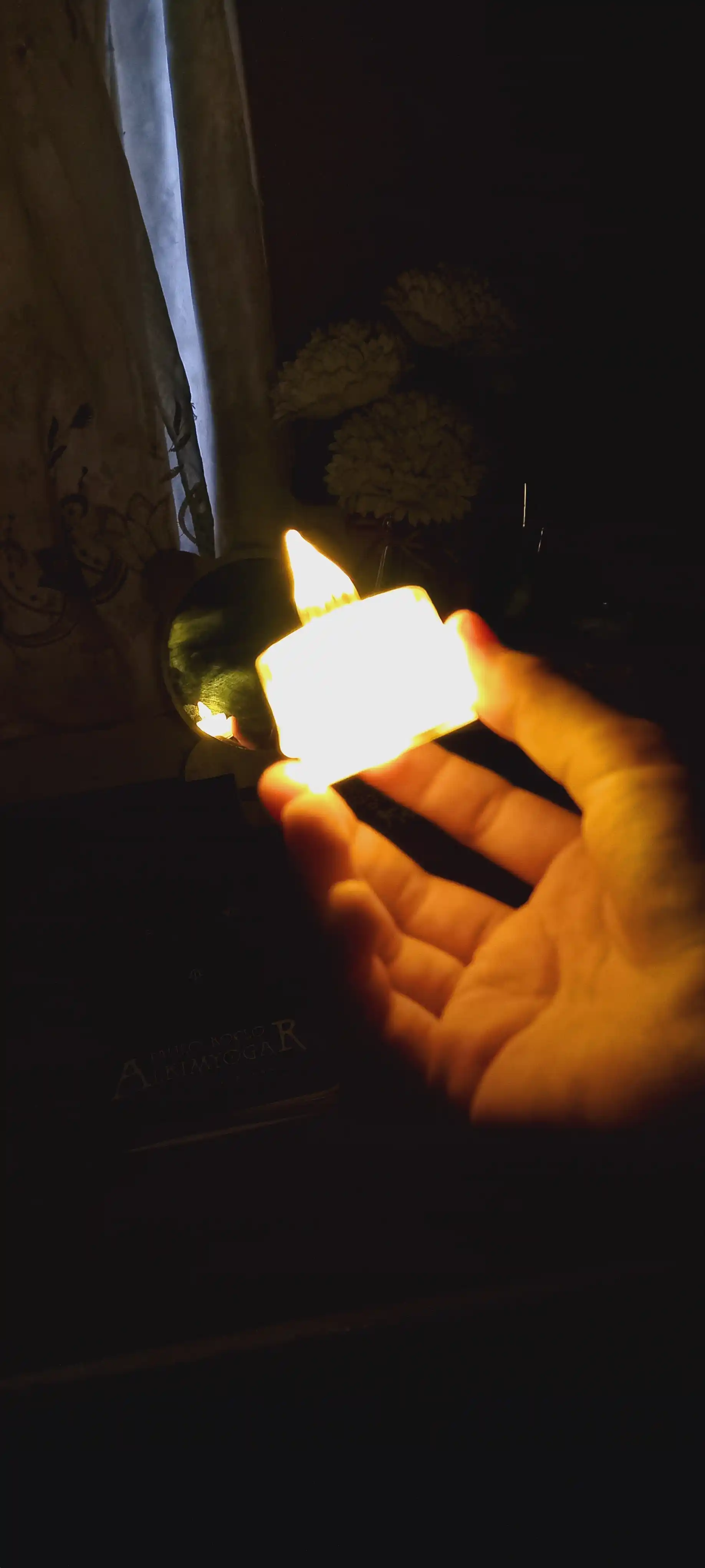 LED shamlar, 1 dona