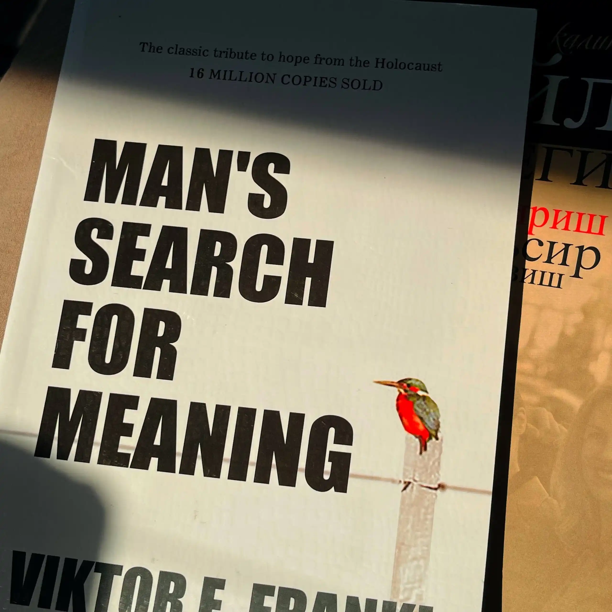 Man's Search For Meaning - Victor E. Frankl