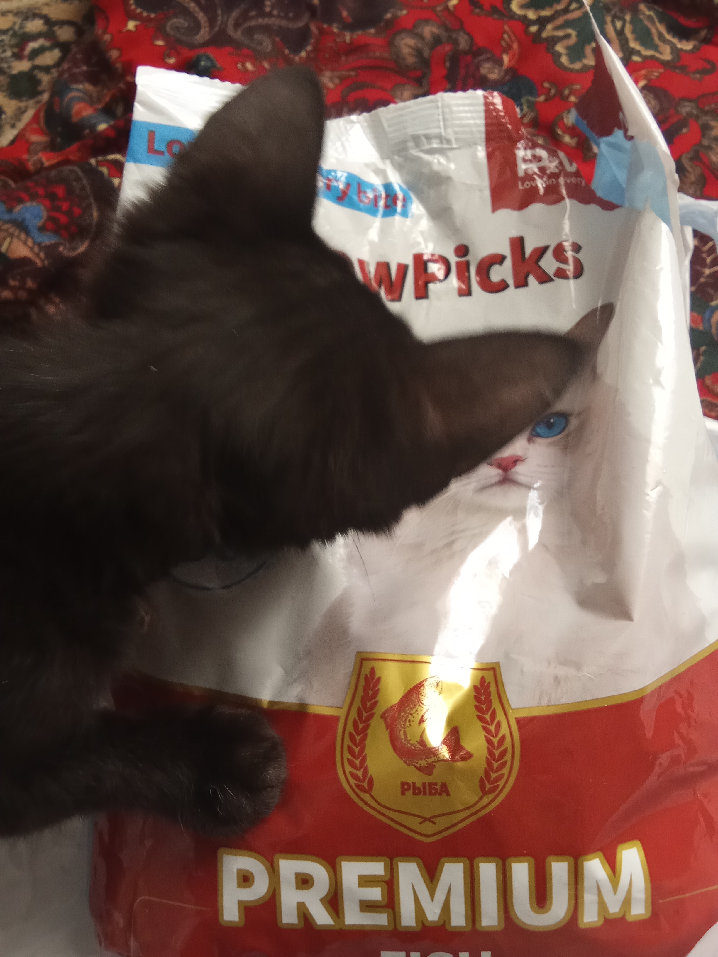Paw Picks сухой корм для кошек с рыбой 1 кг