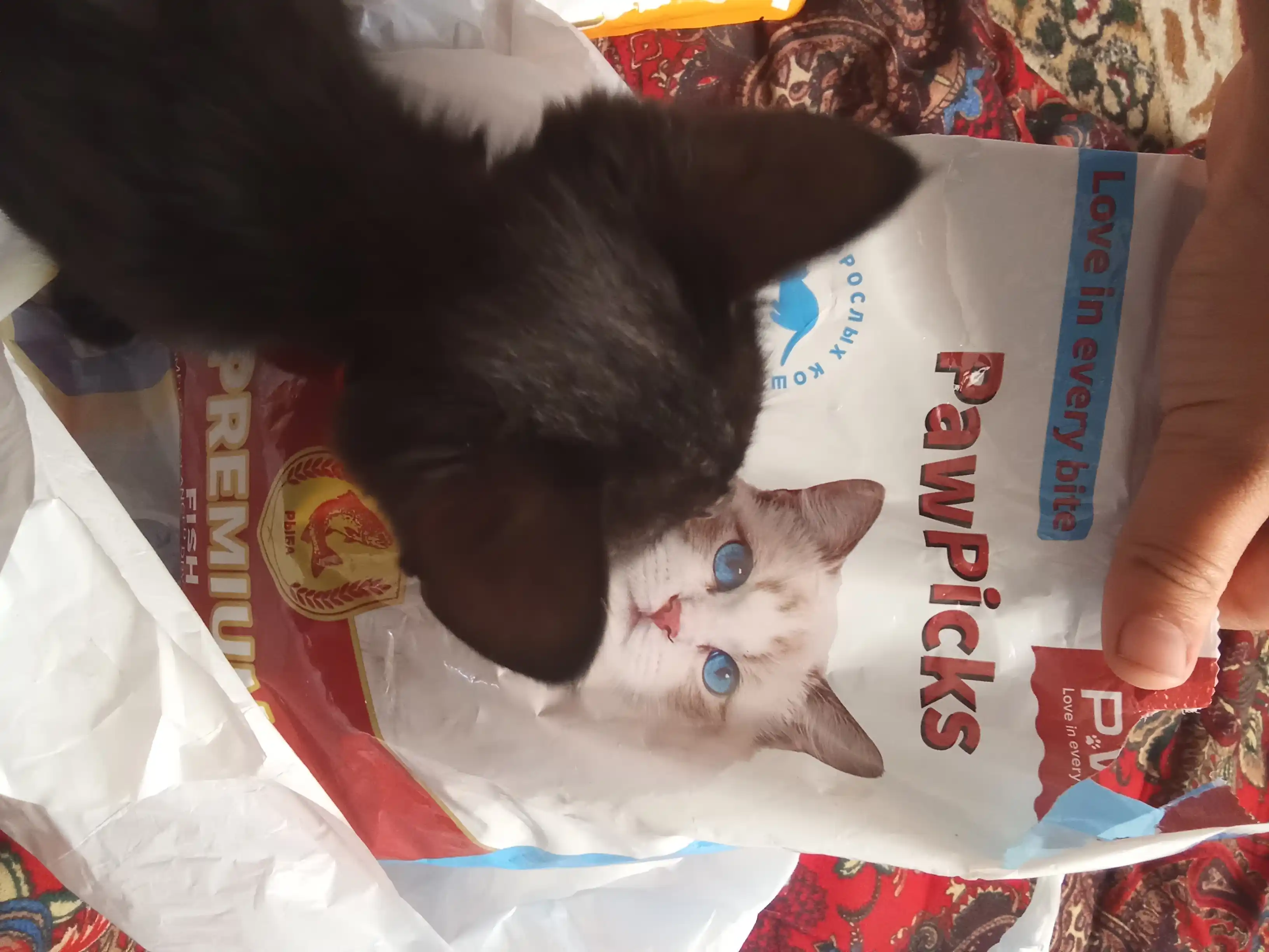Paw Picks сухой корм для кошек с рыбой 1 кг