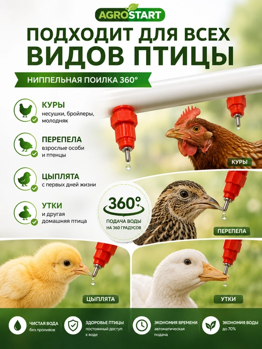 Tovuq, bedana, jo‘ja, o‘rdak va uy parrandalari uchun 360° avtomatik nipelli sug‘orgich