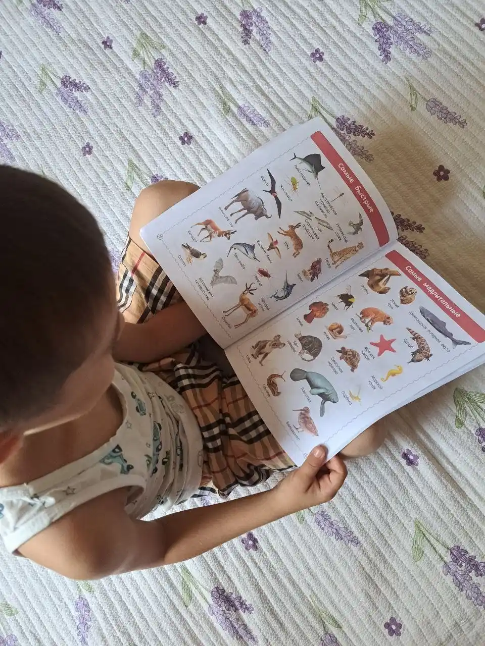 Birinchi ensiklopediya bolalar uchun - rasmlari bilan