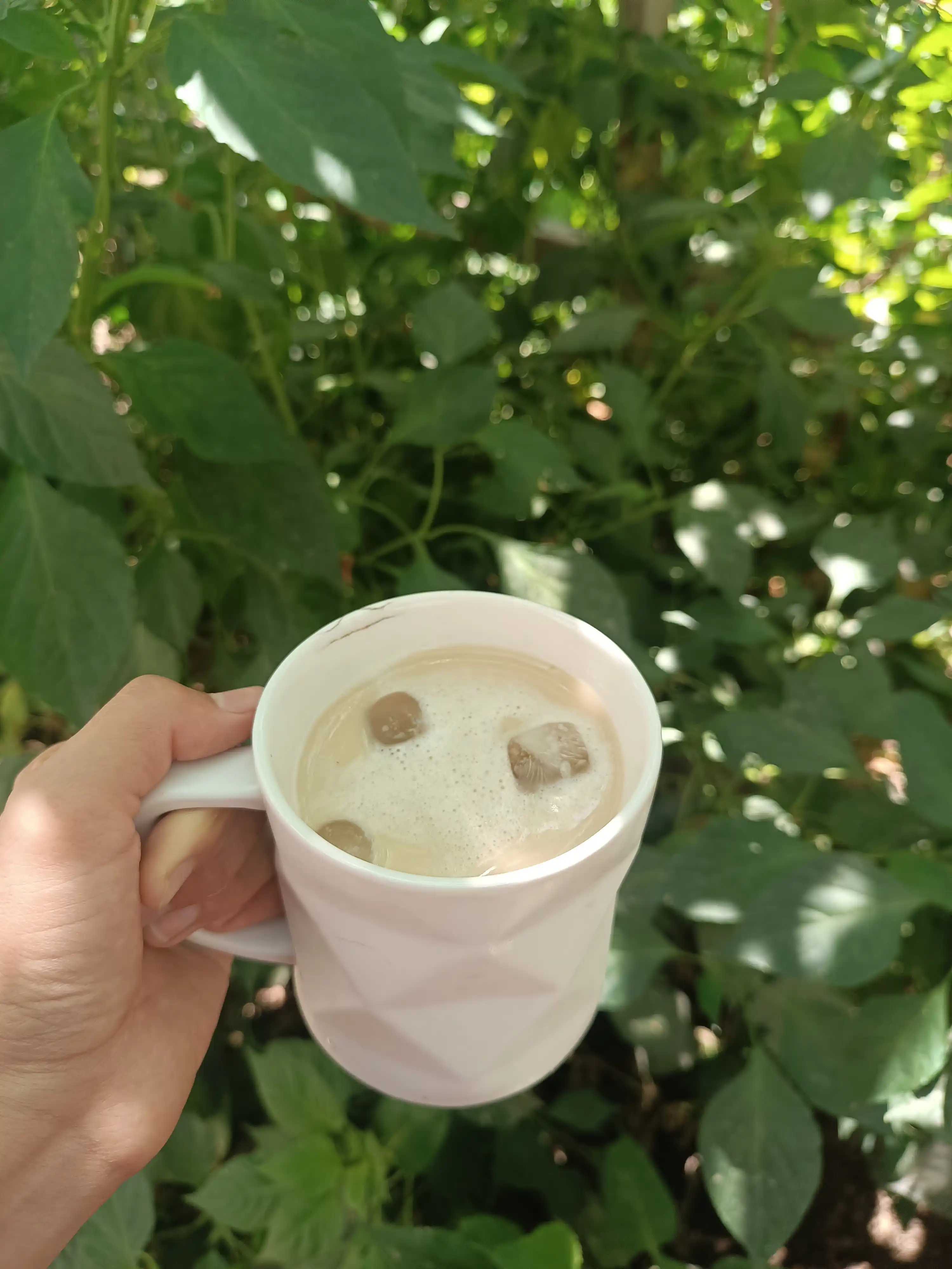 Qahva donlari "BONA", 100 gr