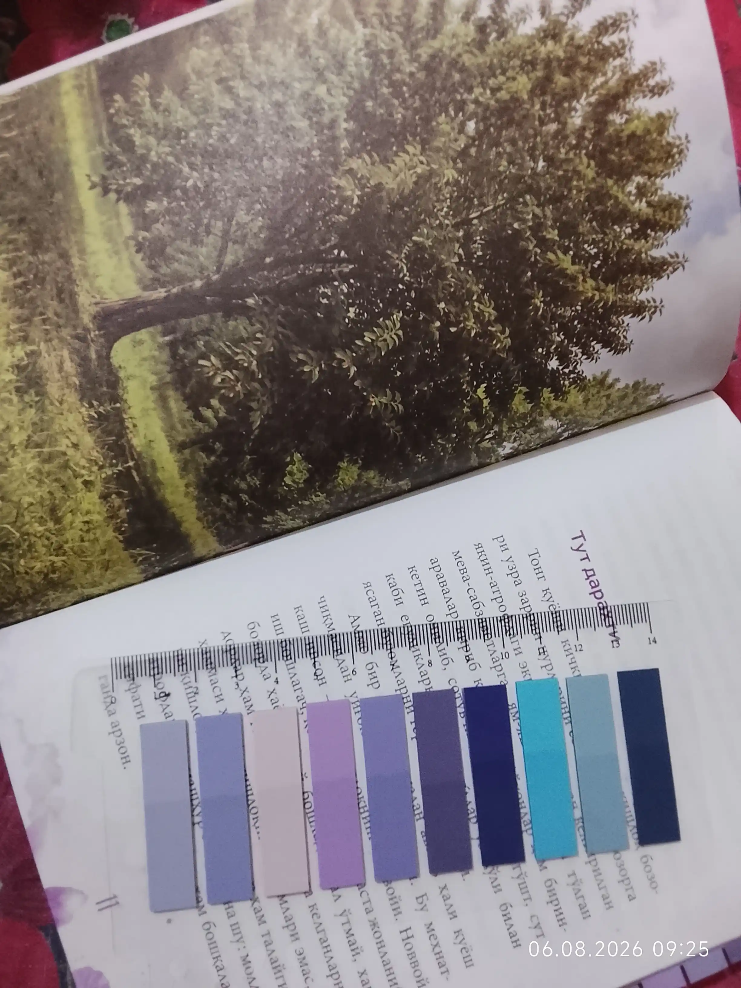 Клейкие закладки Color Note, 10 цветов