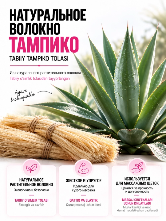 Tanani quruq massaj uchun cho‘tka, sellyulozga qarshi, tabiiy, kaktus tukli, BeautyBox