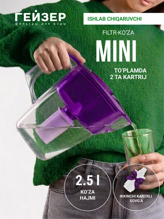 Фильтр - кувшин для воды, Гейзер Мини, с картриджем в комплекте, 2.5 л - 