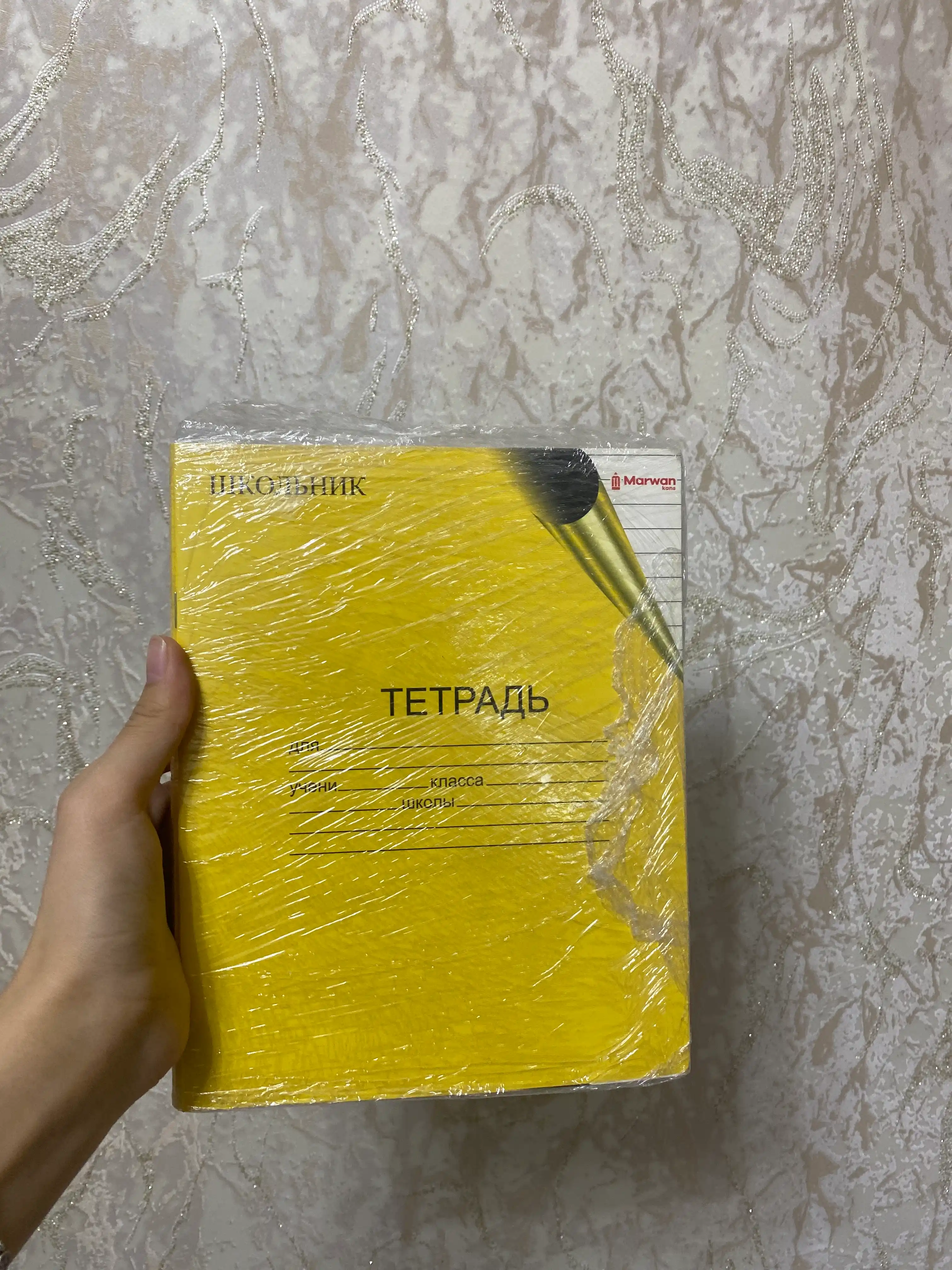 12 varaqli maktab daftari, katak/chiziqli, rangli muqovali