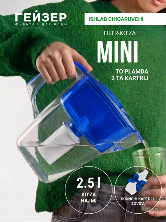 Фильтр - кувшин для воды, Гейзер Мини, с картриджем в комплекте, 2.5 л