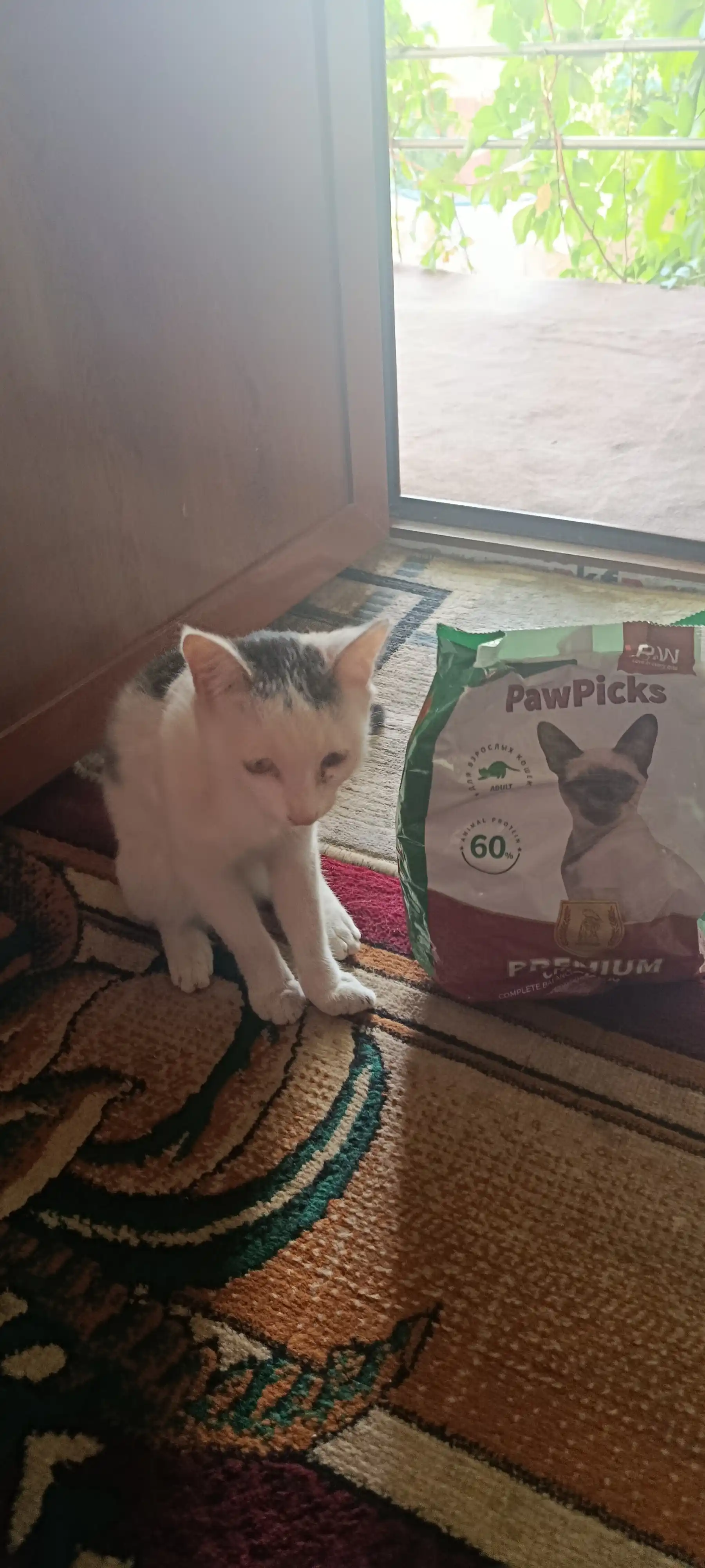 Paw Picks сухой корм для кошек с рыбой 1 кг