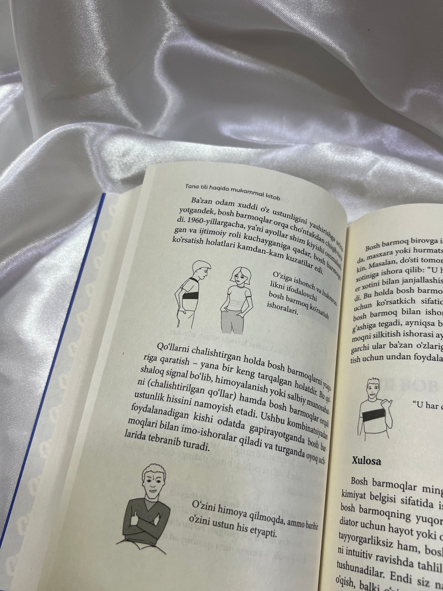 Tana tili haqida mukammal kitob, Allan Piz - 544 bet, 2026