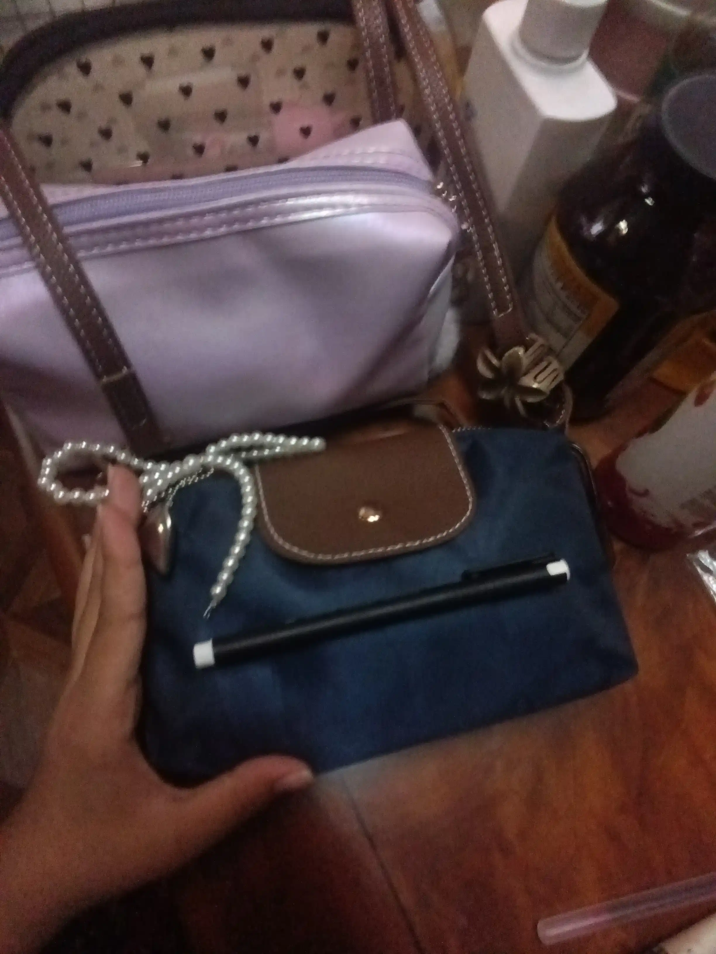 Ayollar uchun Longchamp uslubidagi eko-charmdan kichik kross-bodi sumkasi