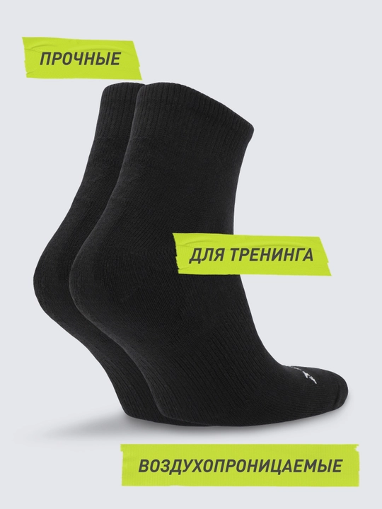 Demix paypoqlari, 2 juft
