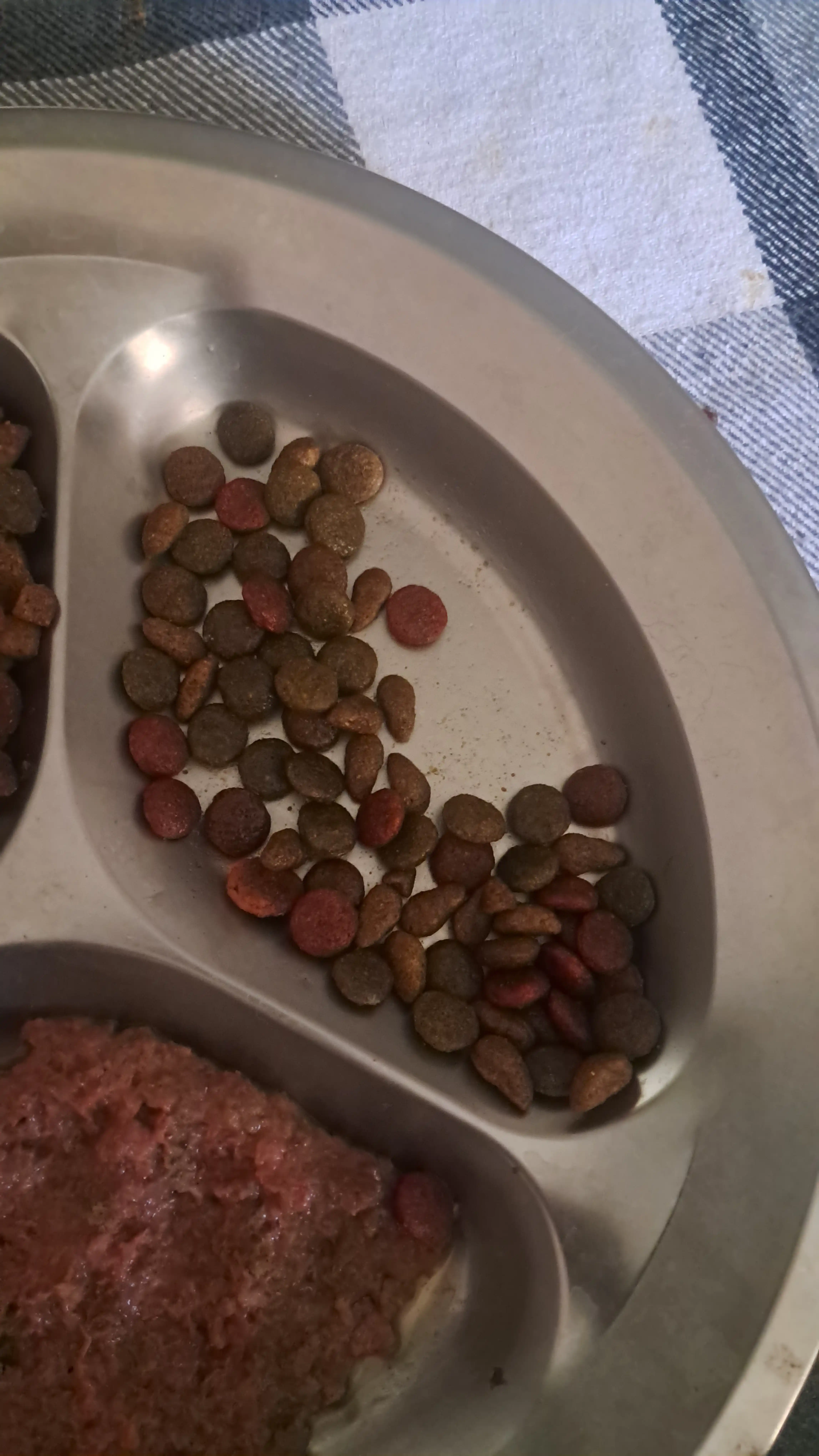Myaу mushuklar uchun quruq yem, go‘sht va sabzavotlar bilan, 11 kg