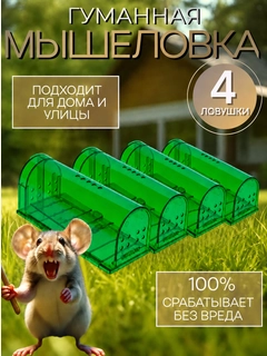 Зеленый