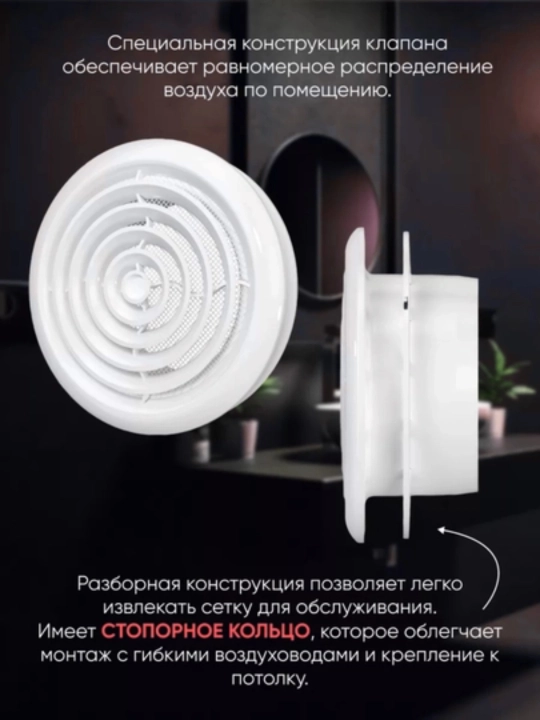 Диффузор приточно-вытяжной с антимоскитной сеткой (100, 120, 250, 350 мм)