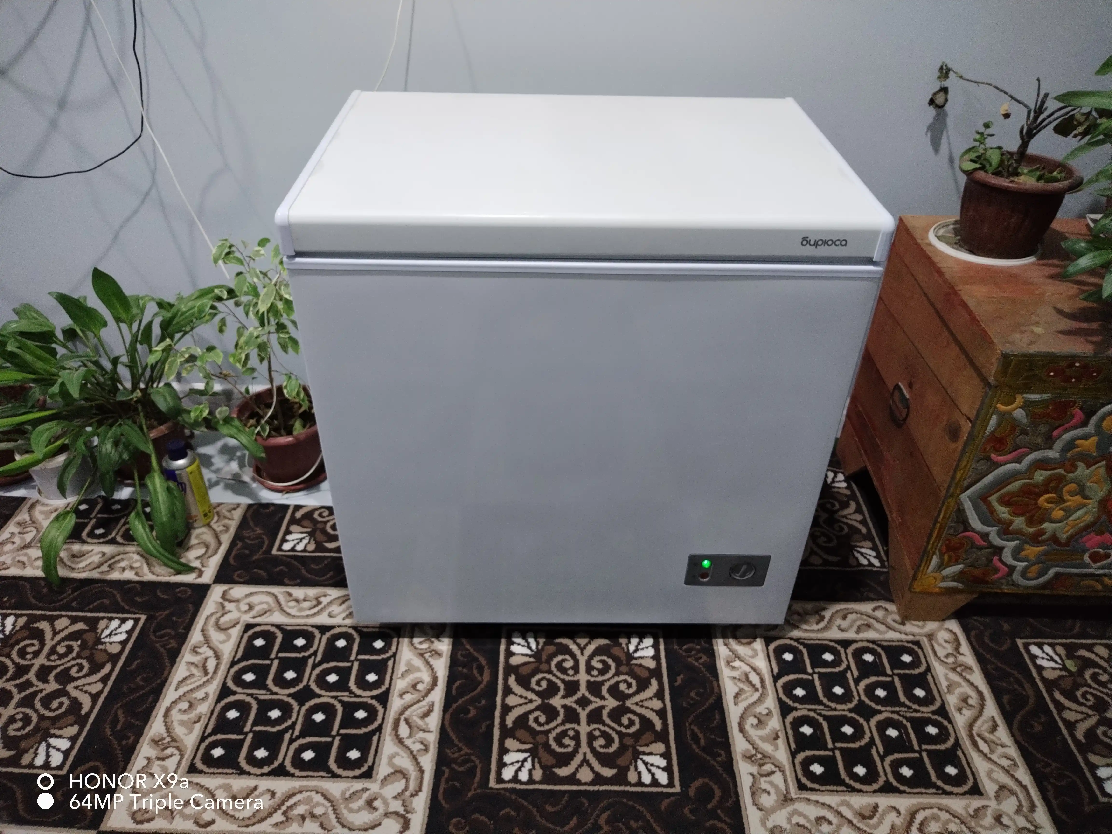 Biryusa 155KVS yopiq qopqoqli muzlatgich, hajmi 145 L, invertor kompressor