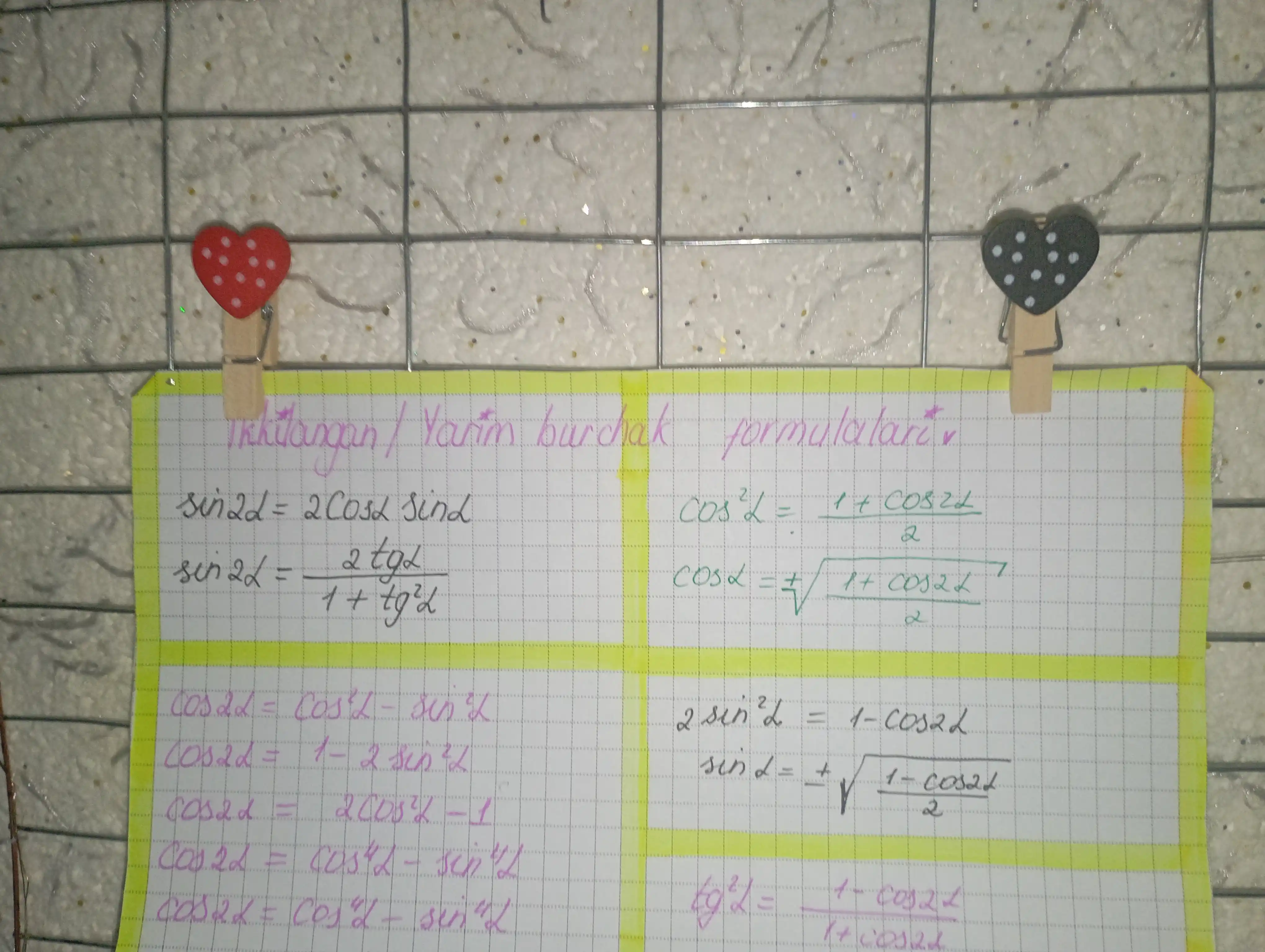 Dekorativ qisqich, kichik qisqichlar, fotosurat uchun qisqichlar