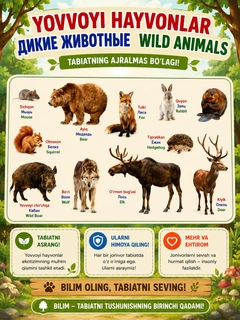Салатовый
