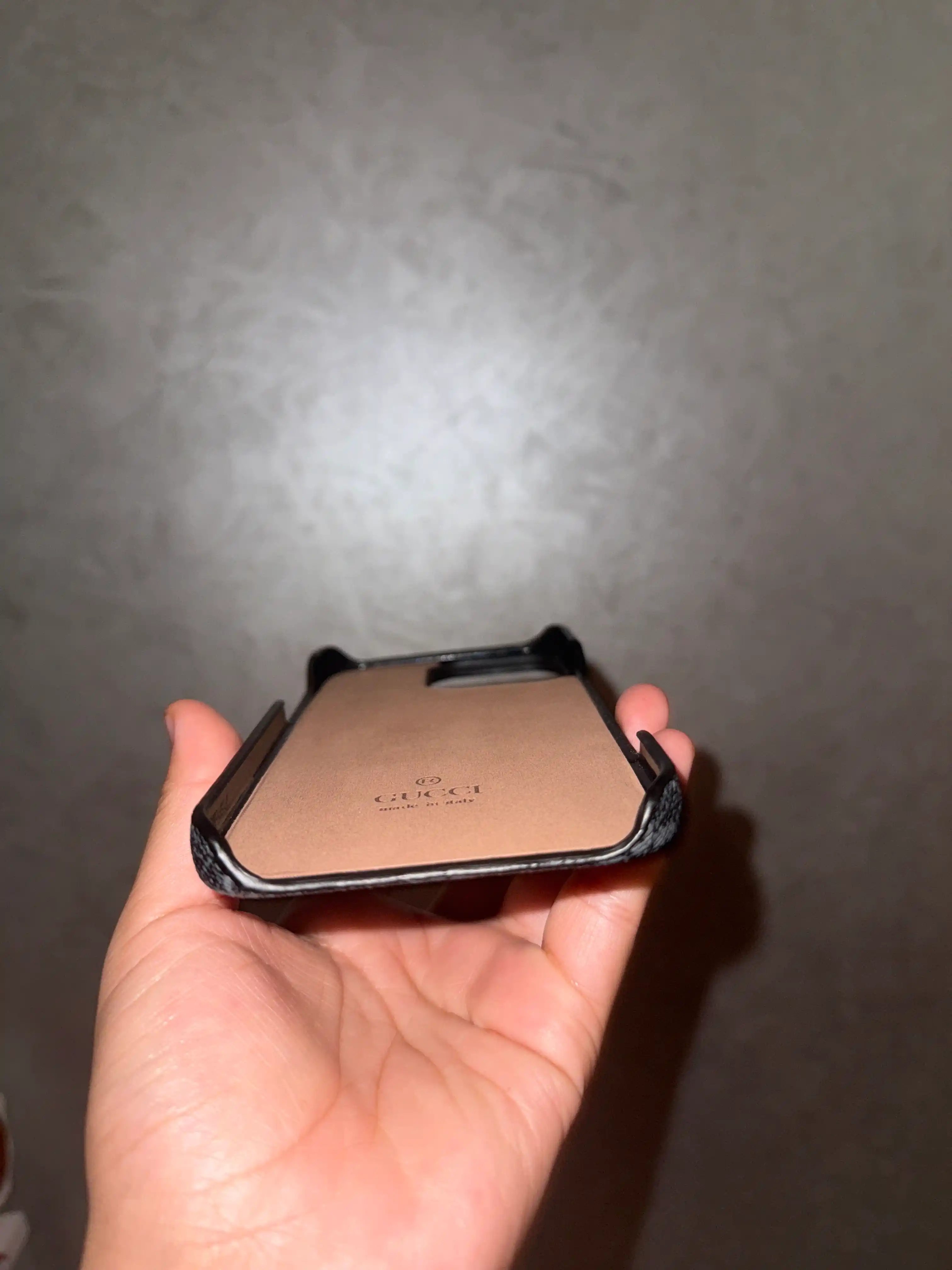 Чехол для iPhone 11, 12, 13, 14, 15, 16, 17, Pro, Max, Gucci