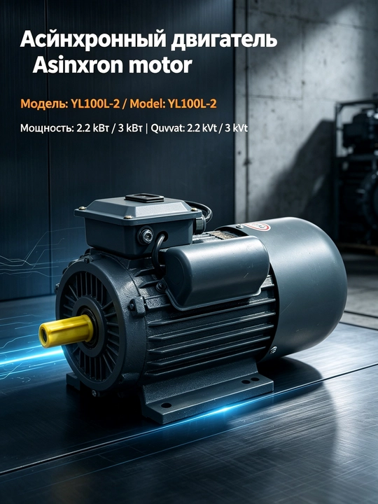 Bir fazali elektr motor MOON YL90L‑2 2,2kVt / YL100L‑2 3kW 220V 3000rpm IP55 - 