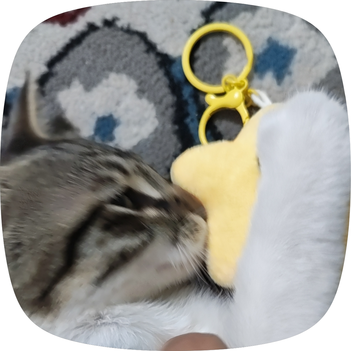 Yumshoq plush brelok, Kawaii uslubidagi sumka va kalit aksessuari