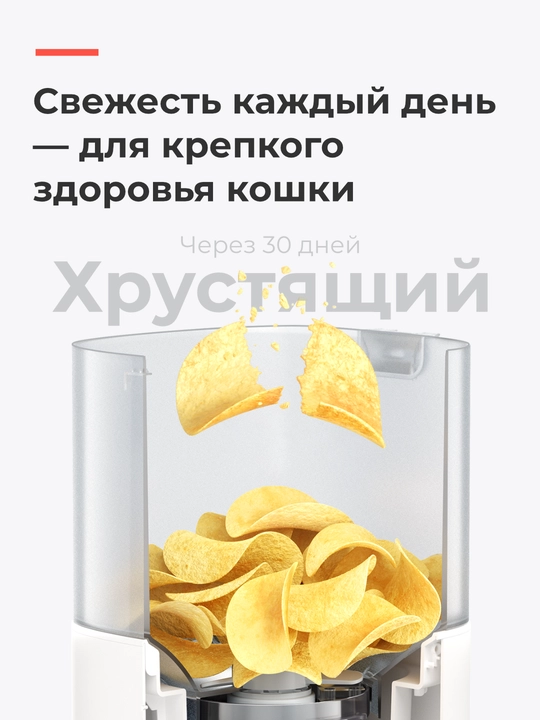 HomerunPET PF20 avtomatik ovqatlantirgich, farfor idish, mushuklar uchun