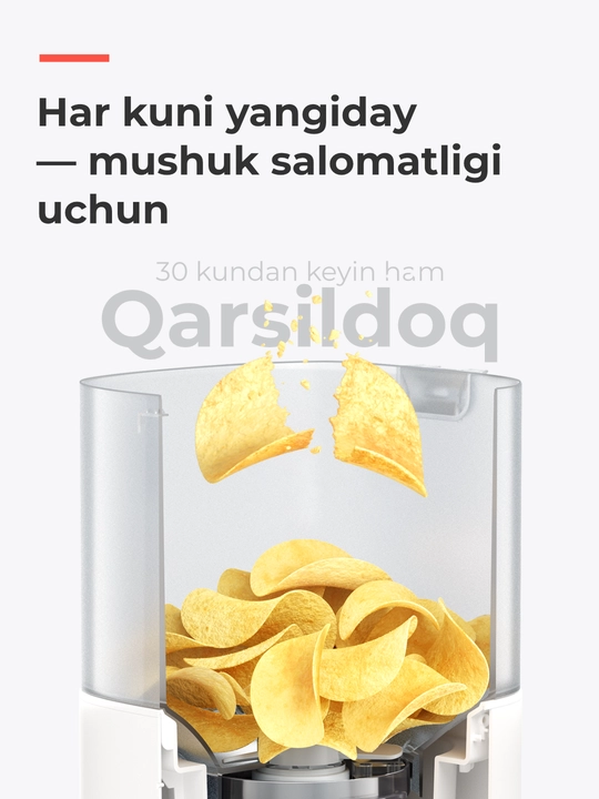 HomerunPET PF20 avtomatik ovqatlantirgich, farfor idish, mushuklar uchun
