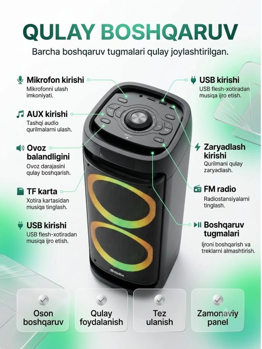 Professional portativ party kalonkasi HoXen L-2809B Bluetooth dinamigi